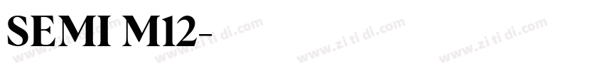 SEMI M12字体转换